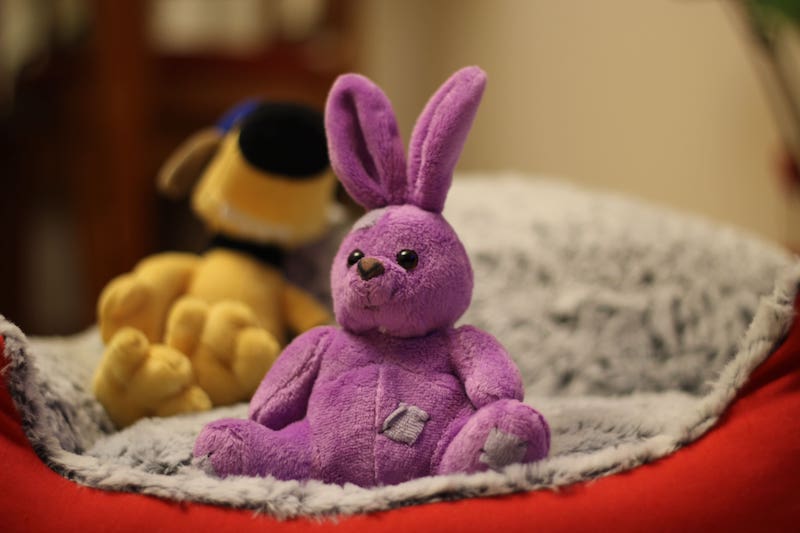 a-pink-plush-bunny